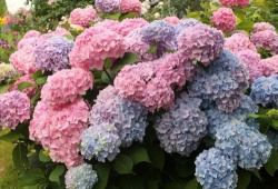 63f0ac30c0000c52f1beb00b17aa29e4